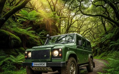 اجاره خودرو برای سفرهای طبیعتگردی: چه خودرویی مناسبتر است؟