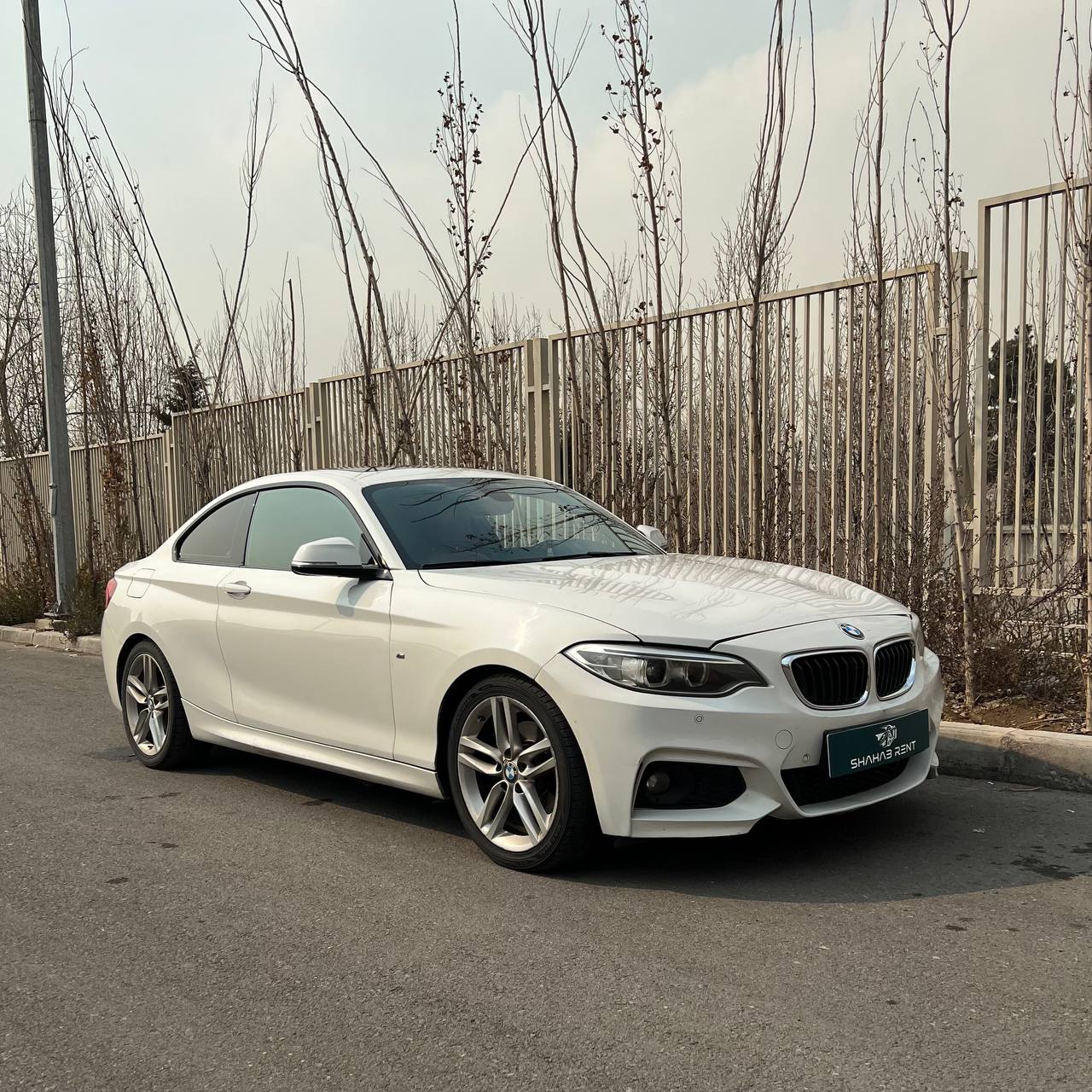 خودرو BMW 220i