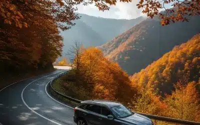 سفر پاییزی به جنگلهای ارسباران: کدام خودروی شهاب رنت مناسب جادههای کوهستانی است؟