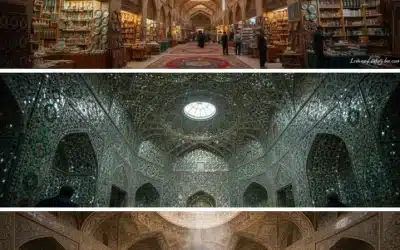 راهنمای کامل سفر به شیراز با ماشین: از باغ ارم تا تخت جمشید