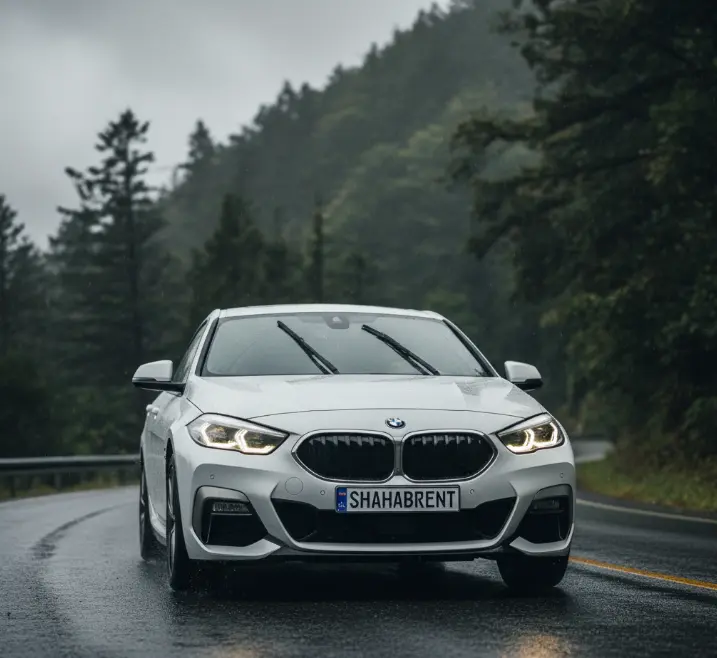 خودرو BMW 220i