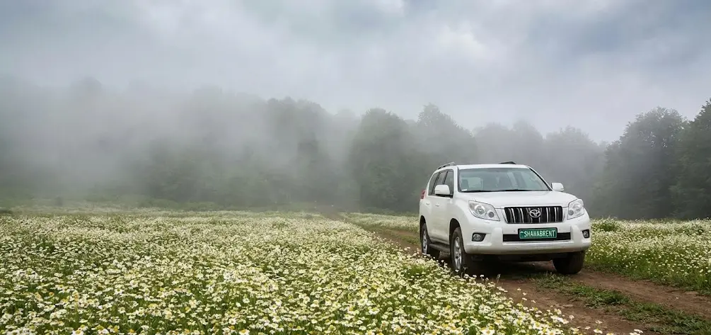 جنگل فندقلو