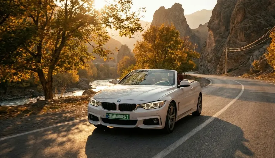 اجاره BMW 428