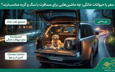 سفر با حیوانات خانگی؛ چه ماشینهایی برای مسافرت با سگ و گربه مناسبترند؟